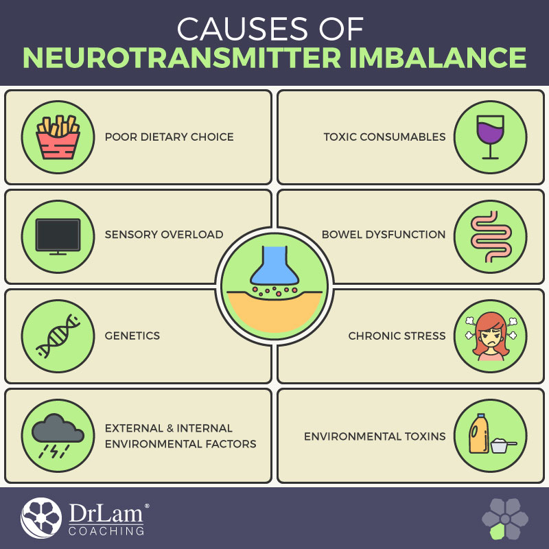 Check out this easy to understand infographic about the causes of neurotransmitter imbalance