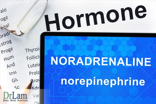 Chemical Imbalance of Norepinephrine