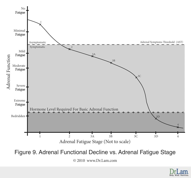 A chart showing the relationship between Adrenal Function and Adrenal Fatigue Stage