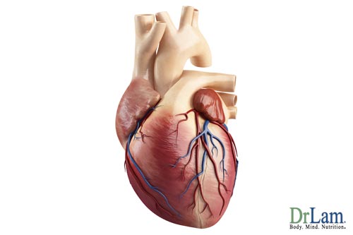 A picture of a heart being affected by adrenal fatigue/