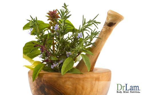 Proper use of herbs can help with Adrenal Fatigue